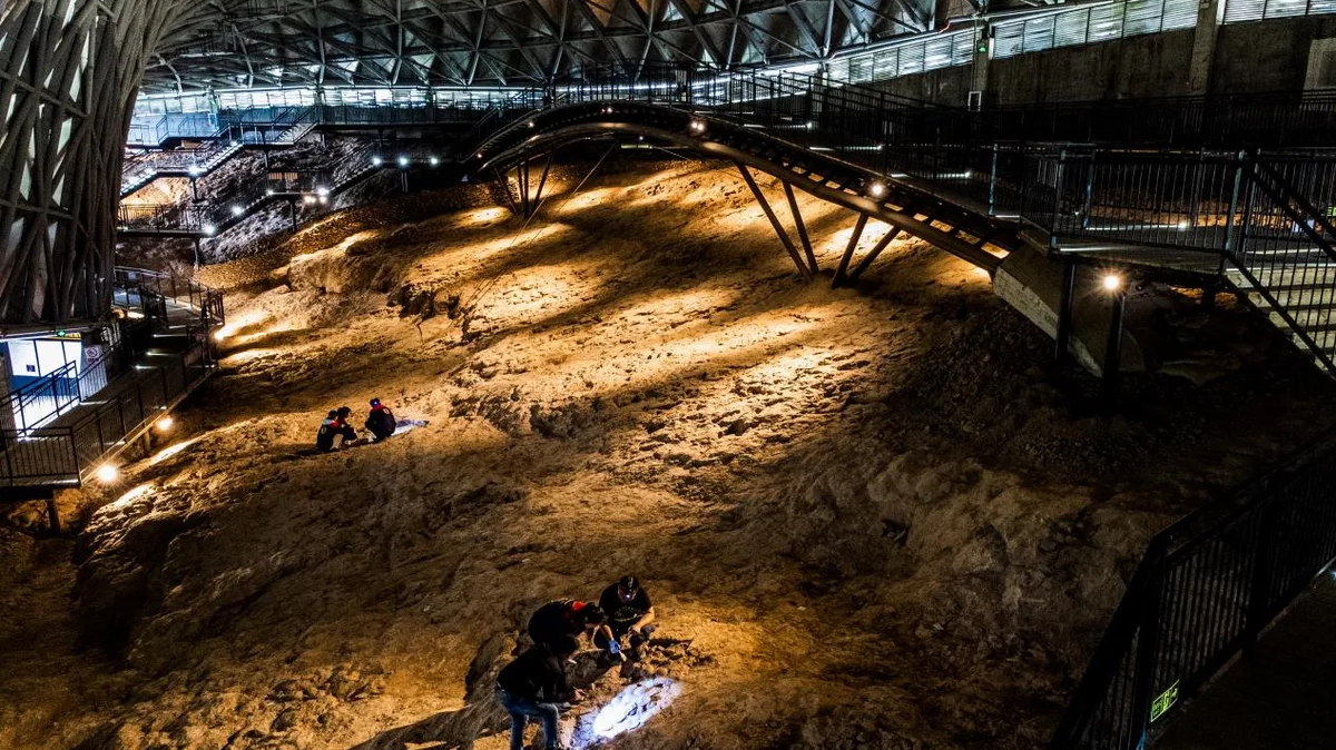 How 85-Million-Year-Old Dinosaur Eggs Revealed Earth’s Greatest Climate Crisis?