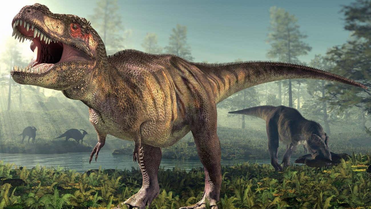 The Tyrant’s Slow Reign: T. Rex Took 40 Years to Reach Full Size