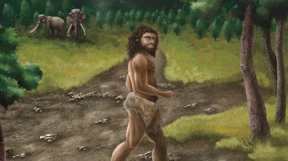 A 200,000-Year-Old Tooth Rewrites the Story of a Lost Human Relative