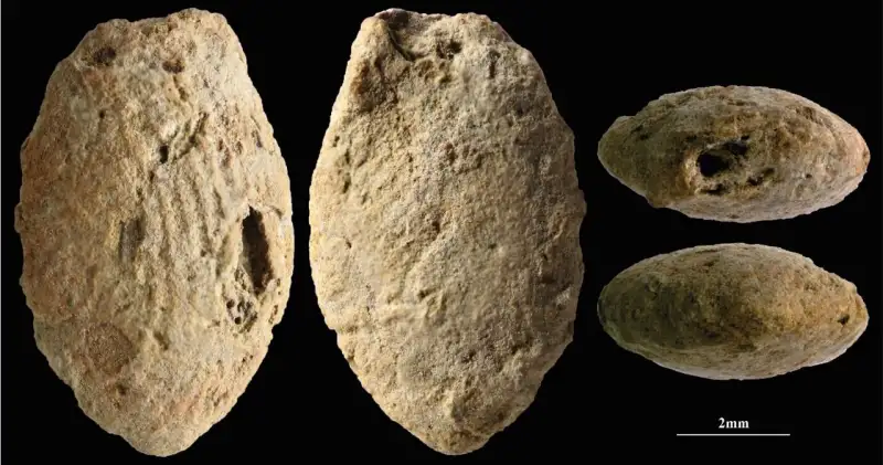 The Fingerprints of Ancient Children Revealing Prehistoric Village Life