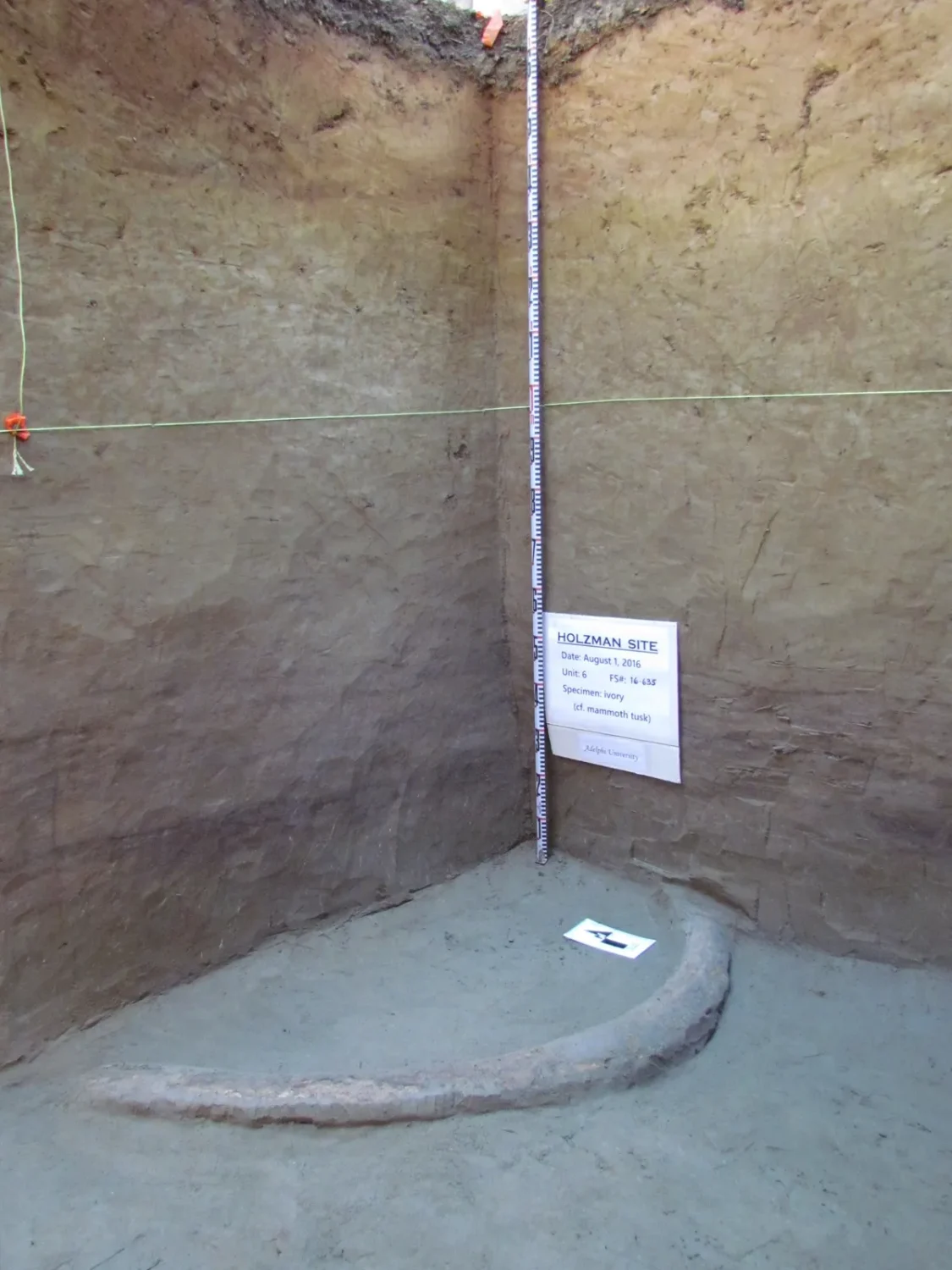 Frozen Mammoth Ivory Reveals Origins of First Americans