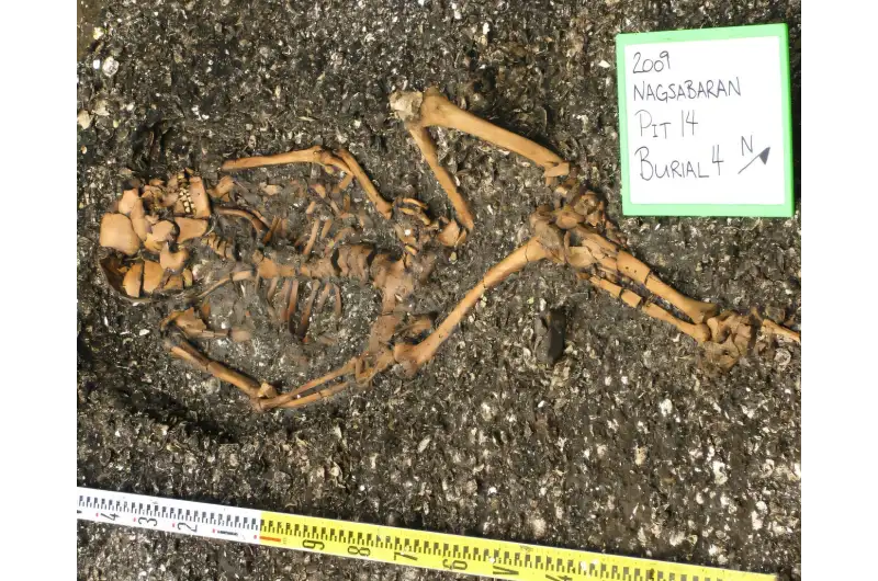 The Scarred Bones of Cagayan Valley: What an Ancient Skeleton Reveals About Prehistoric Compassion