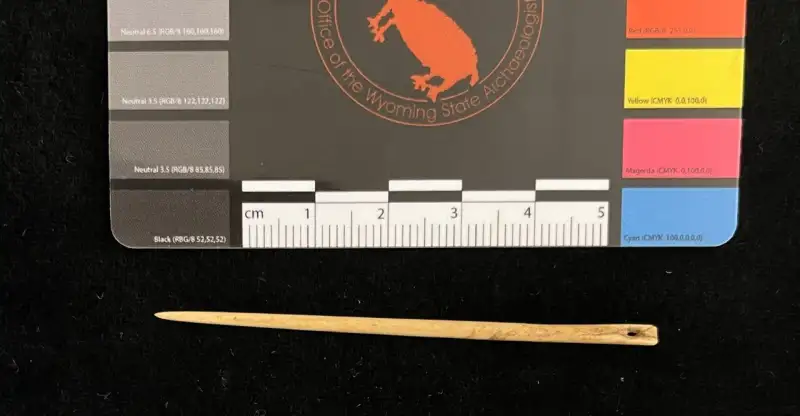 The Hidden Power of the Ancient Sewing Needle in Human History